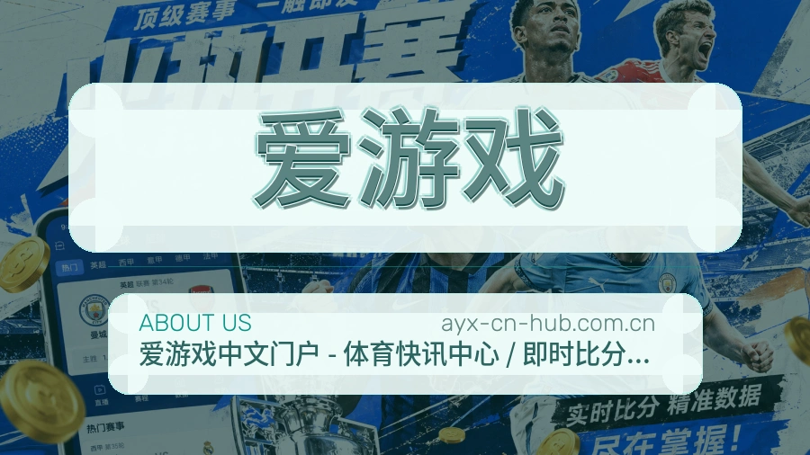 爱游戏用户支持服务说明
